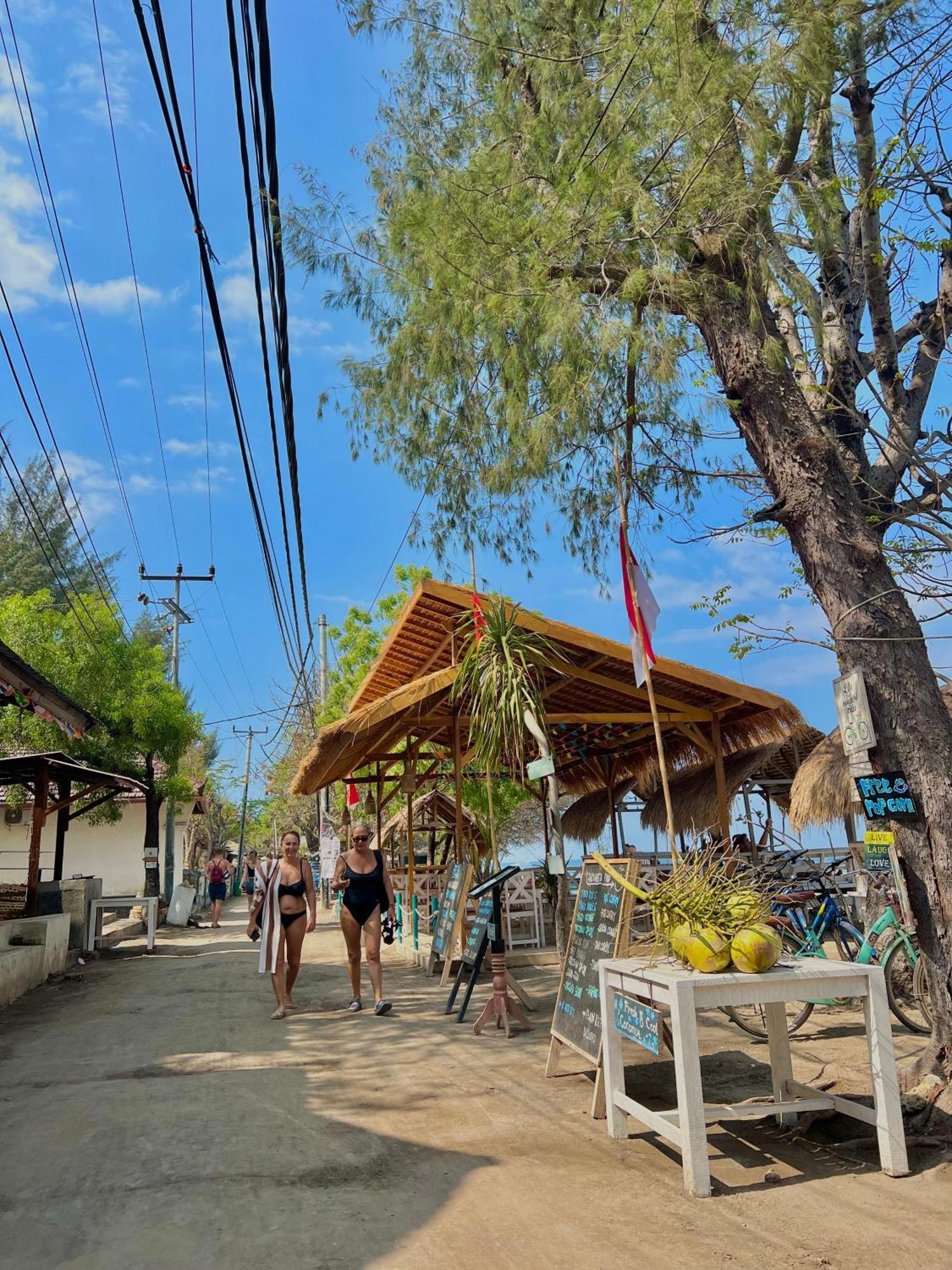 Gita Gili Bungalow Gili Air Eksteriør billede